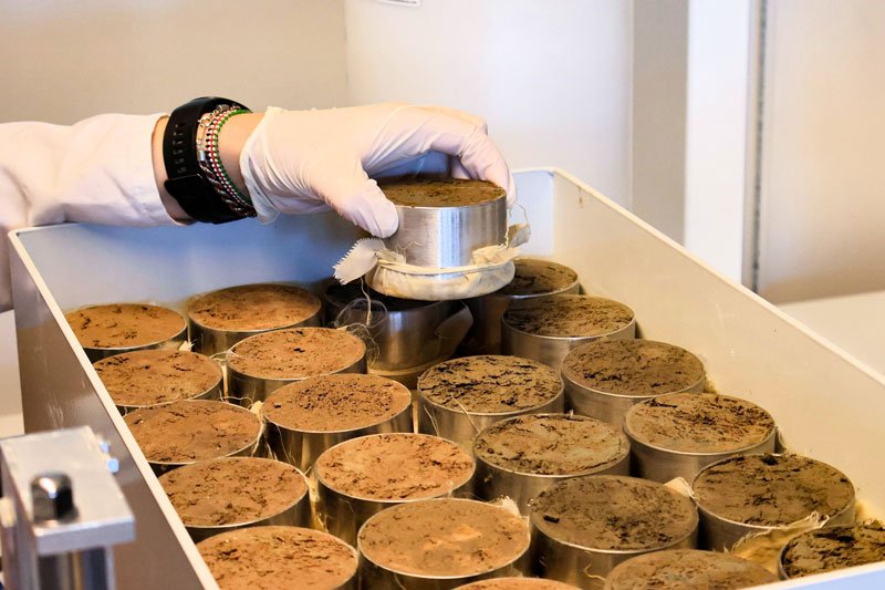 Muestras suelo terreno análisis en laboratorio Ingeark